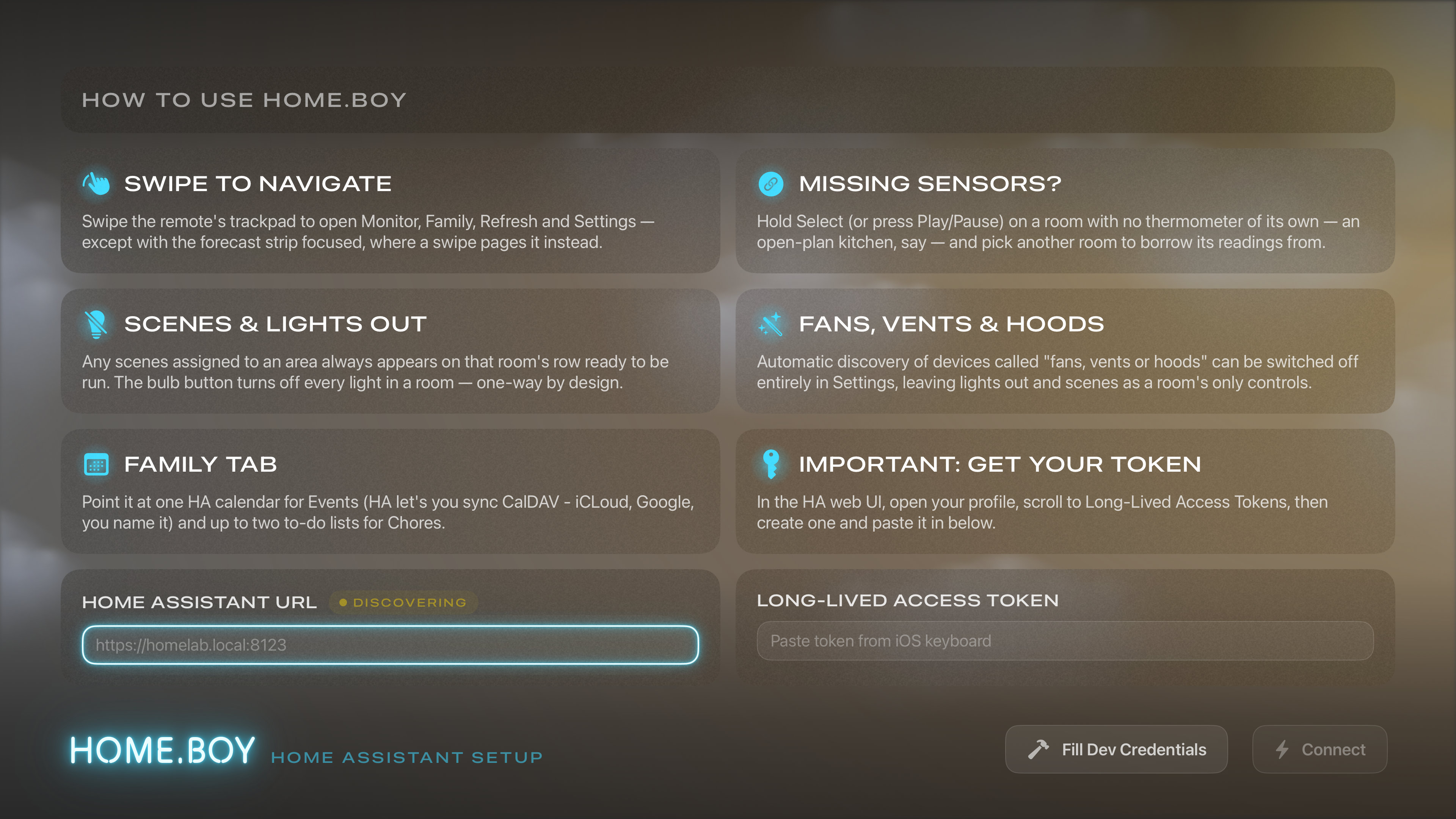 HOME.BOY Setup screen with Home Assistant URL and access token fields